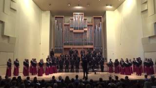 Agnus Dei  Stellenbosch University Choir [upl. by Yonatan]