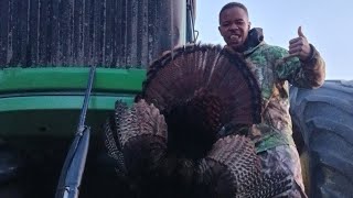 Tom Town NC Turkey Hunting TAGGED OUT [upl. by Ludmilla]