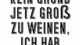 die toten Hosen  Lebt wohl amp danke sehr [upl. by Akenehs]