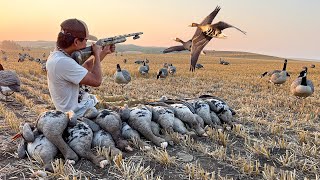 Our Best Early Season Specklebelly Goose Hunt Yet LIMITED OUT [upl. by Aisanat]