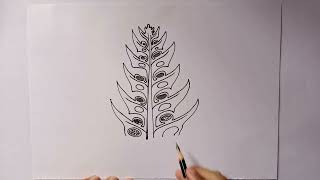 Lycopodium BSc Botany  how to draw lycopodium  how to draw lycopodium leaf anatomy diagram [upl. by Ardnahsal]