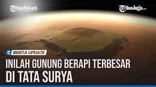 INILAH OLYMPUS MONS GUNUNG BERAPI TERBESAR DI TATA SURYA [upl. by Ras184]