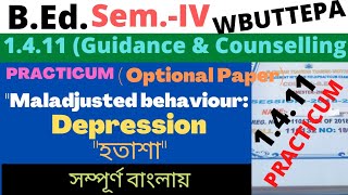 BEd 4th Sem Maladjusted behaviour  Depression Practicum 1411 Optional Guidance amp Counseling [upl. by Taima]