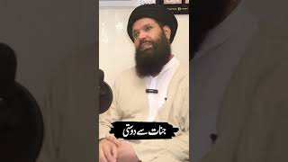 Jinnat say Dosti ho Sakti Hai  Sheikh Ul Wazaif Ubqari  Podcast Planet [upl. by Aviva669]