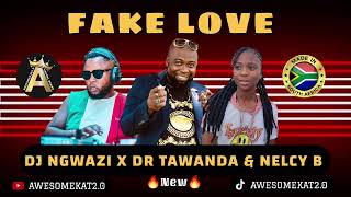 Dj Ngwazi x Dr Tawanda amp Nelcy B  fake love New [upl. by Uzzi]