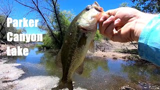 Catching Multi Species With Non Stop Bass Fishing Action At Parker Canyon Lake Arizona [upl. by Kylstra]