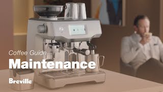 The Oracle® Touch  How to backflush your espresso machine  Breville USA [upl. by Yessej]