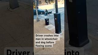 Police investigate a hitandrun involving a man in a wheelchair and his dog crime breakingnews [upl. by Nyladam]