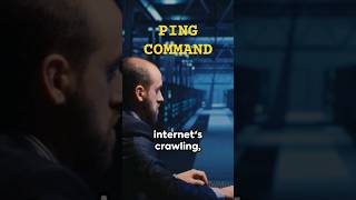 PING Command [upl. by Nikita]