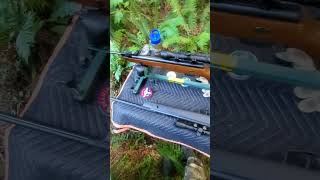 Beeman Sportsman RS2 breakbarrel 22cal  Gamo Big Cat 177 [upl. by Irene]