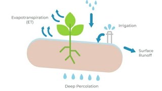 EVAPOTRANSPIRATION  Causes  Advantages  Disadvantages  issue SDG ClimateChange GlobalWarming [upl. by Haugen]