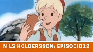 Nils Holgersson  Episodio 12 Finapluma [upl. by Vez]