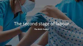 The second stage of labor  pushing or birthing your baby [upl. by Kired]