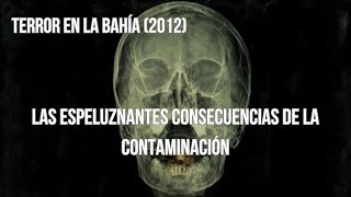 El siniestro mecanismo de defensa de la naturaleza  Isópodos mutantes  Terror en la bahía 2012 [upl. by Mina]