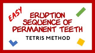 Tooth Eruption Sequence for Permanent Teeth Tetris Method [upl. by Eivla]