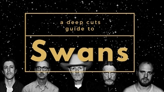 A Guide to SWANS [upl. by Dulcine311]