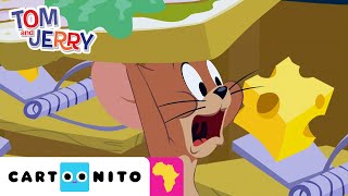 Funniest Moments  The Tom and Jerry Show  CartoonitoAfrica [upl. by Anauqes]