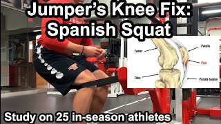 Jumpers Knee Spanish Squat Study Fix Patellar Tendon Pain [upl. by Cadel]