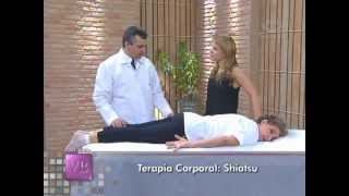 Terapia corporal Shiatsu  24042012 [upl. by Ahsineb292]