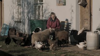 a Few Mornings an Evening – trailer  IFFR 2024 [upl. by Kerin]