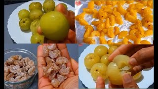 ఎన్నో పోషకాలను అందించే Amla Recipes👉రుచిగా సంవత్సరం పాటు నిల్వవుంటాయి😋 Amla Recipes In Telugu [upl. by Vedis876]