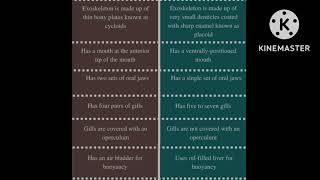 difference between cartilaginous and bony fish with diagram [upl. by Hcirdeirf22]