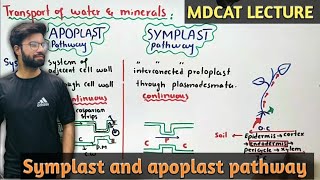 Biology  Transport of water in plant [upl. by Bria]