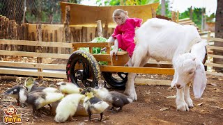 YinYin helps Mom get vegetables to feed the ducklings [upl. by Noskcire]