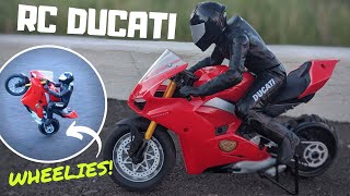 This 16 Scale RC Ducati is a Wheelie Machine [upl. by Arihppas]