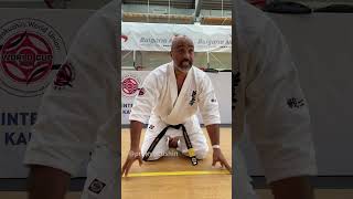 Shihan Francisco Filho  the 17th KWU SENSHI International Summer Camp [upl. by Venetia]