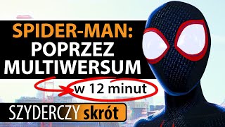 SPIDERMAN POPRZEZ MULTIWERSUM w 12 minut  Szyderczy Skrót [upl. by Fortunia80]