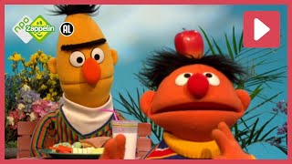 15 MINUTEN BERT amp ERNIE  Sesamstraat  NPO Zappelin [upl. by Decato713]