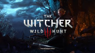 Part 19  Ending  The Witcher 3 Wild Hunt Walkthrough Gameplay PS5 [upl. by Atilrahc]