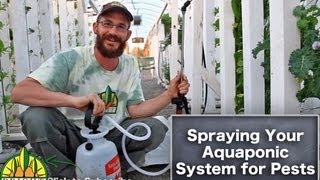 Spraying Your Aquaponic System for Pests [upl. by Eustis]