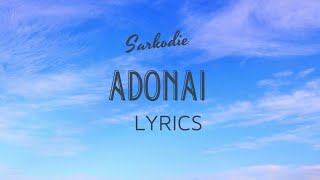 SARKODIE FT CASTRO  ADONAI LYRICS [upl. by Ellecram]