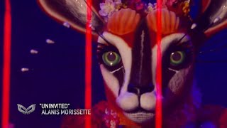 Gazelle Full Performance  Masked Singer  SEASON 10 [upl. by Tedra]