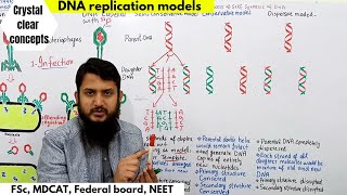 Semiconservative Conservative and Dispersive models of DNA replication  FSc MDCAT Federal board [upl. by Narahs]