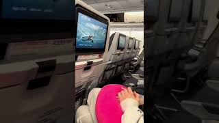 Nowy Jork newyork new york nowyjork trip travel airplane funny goodvibes [upl. by Ayian]