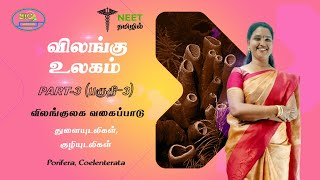 Animal Kingdom  Part 3  Porifera  Coelenterate  NEET Tamil  NEET Biology [upl. by Brucie]