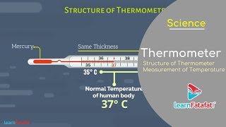 Heat Class 7 Science  Thermometer  Clinical Thermometer  Measurement of Temperature [upl. by Dorie]