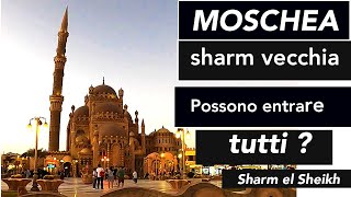 🕌 SHARM MOSCHEA di SAHABA Sharm Vecchia [upl. by Asp]