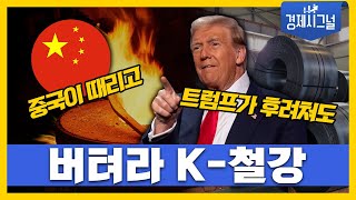 중국이 때리고 트럼프가 후려쳐도 버텨라 K철강 │2024년 11월 22일 경제시그널 [upl. by Winer]