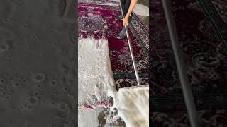 unbelievable dirty carpet cleaning asmr rugwashing satisfying carpetcleaning shorts carpet [upl. by Sheba]