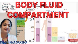 Body Fluid Compartment Extracellular fluid Intracellular fluid [upl. by Snook]