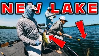 Power Fishing VS Finesse Fishing Finding Bass In A New Lake [upl. by Elias]