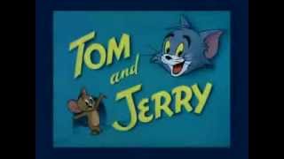 TOM N JERRY CARTOON3gpcrdownload [upl. by Kaplan]