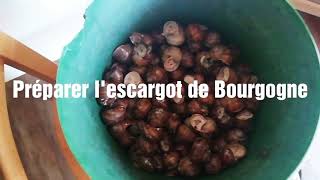 Recette de lescargot de bourgogne [upl. by Daniell]