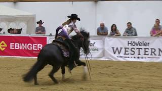 START A REVOLUTION  Anna Lisec  REINING MATURITY Wels 2017 [upl. by Lukas921]