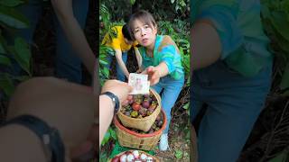 Beautiful Mangosteen Fruit Harvesting from Farm with Rural Farmer 👍shorts youtubeshorts [upl. by Ahsenev651]