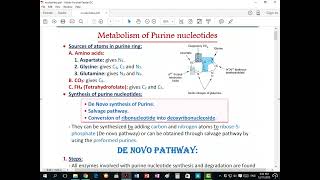 Purine Metabolism  Ettaweel Book [upl. by Adnirem]